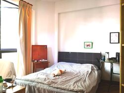 Simei Green Condominium (D18), Condominium #583013051
